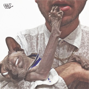 Testovaci upcoming album