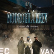 Modrobílá krev (2025)