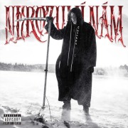 NEROZUMÍ NÁM (2soft) (2022)