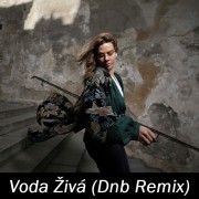 Voda Živá (Dnb Remix) (2022)